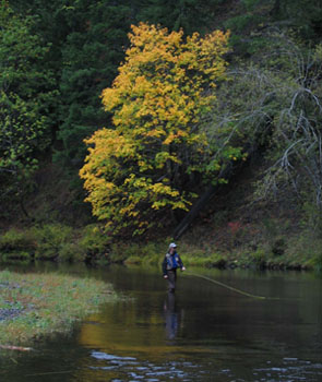 Oregon Coast Range Fly Fishing