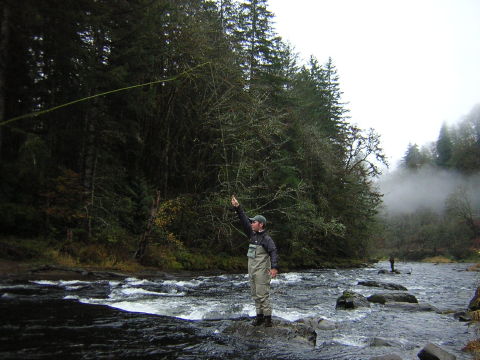 Oregon Salmon