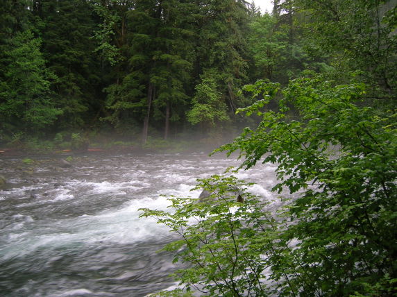 McKenzie Whitewater