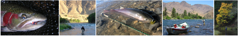 McKenzie River Guided Fly Fishing