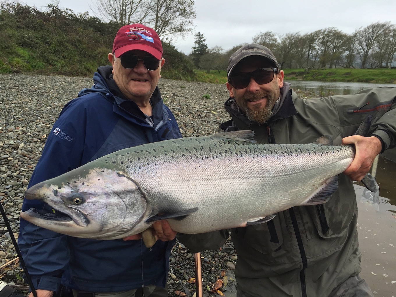 Siuslaw Salmon