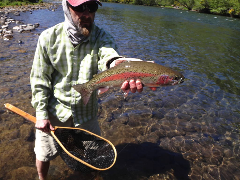 Portland Oregon Trout