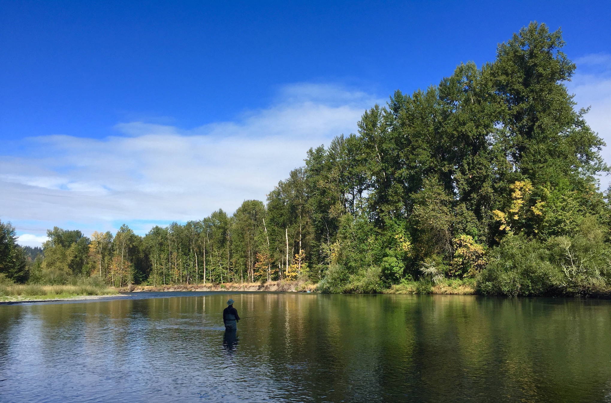 Woman Fly Fishing